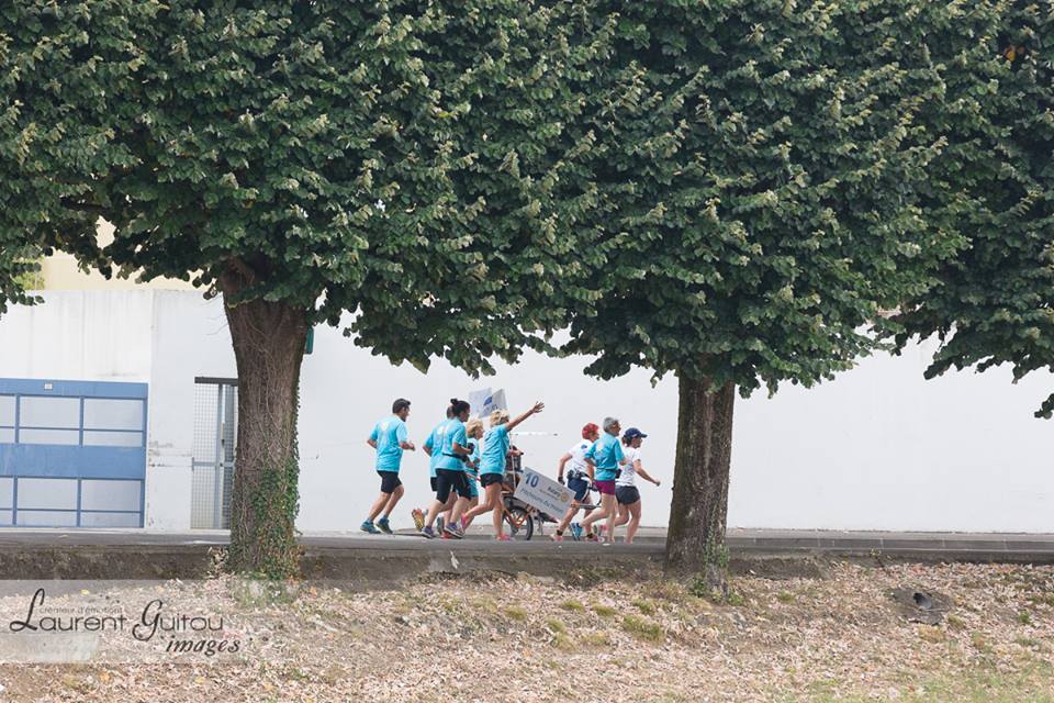 13729177_1231280003558005_7121468552468093607_n - Copie