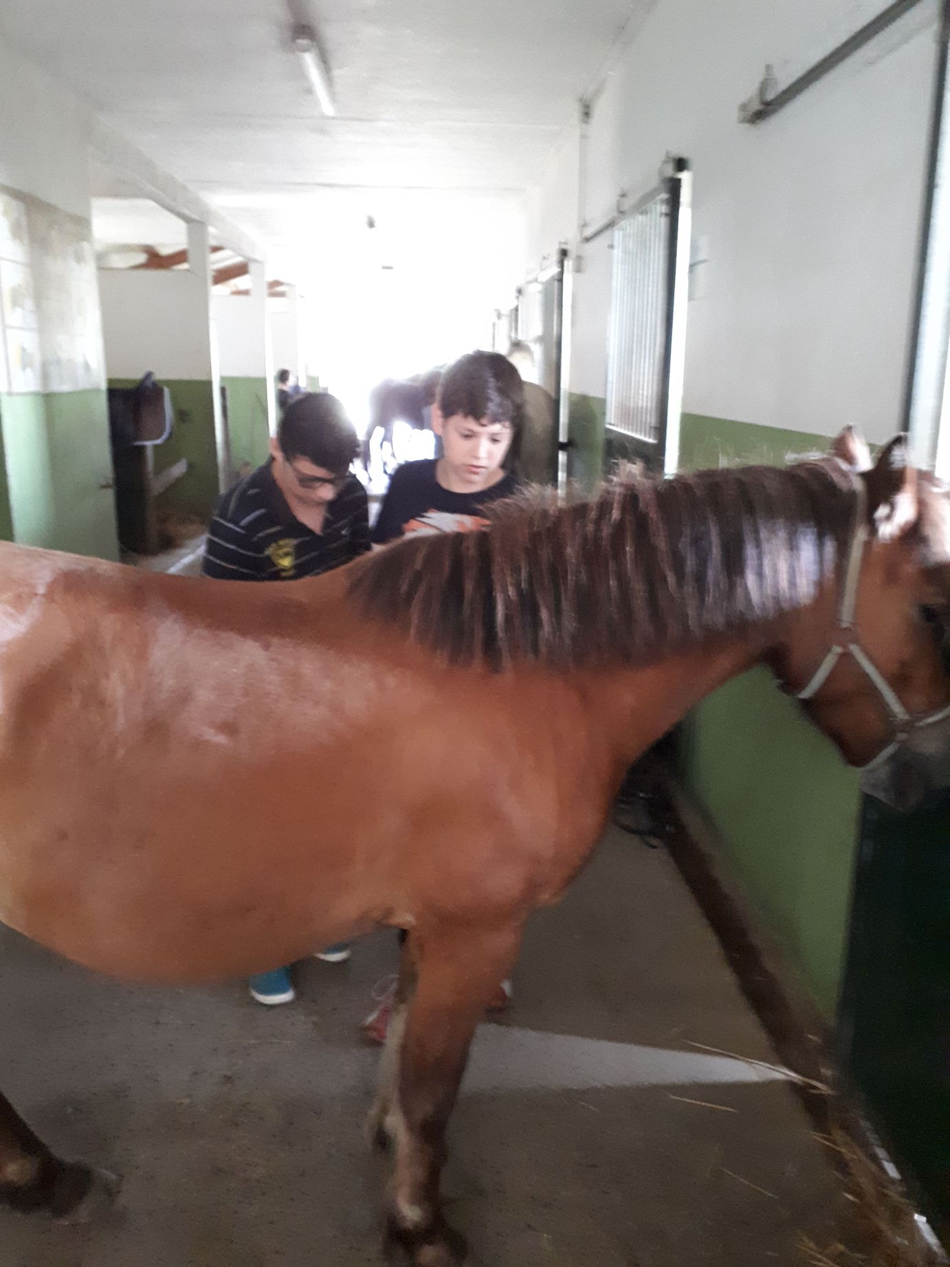 20180602_133227_resultat_resultat