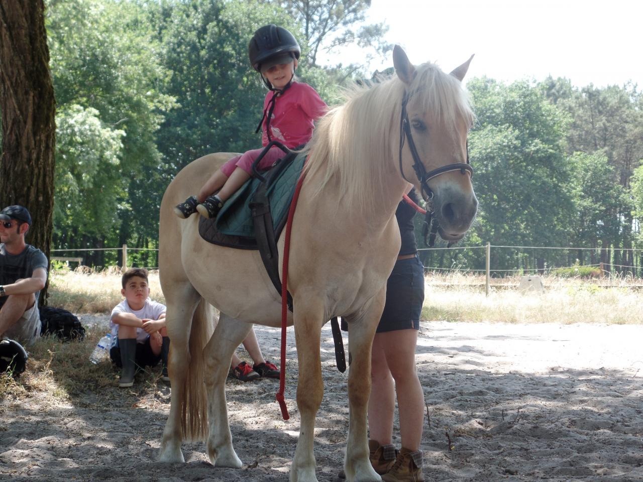 anouk2 (1)
