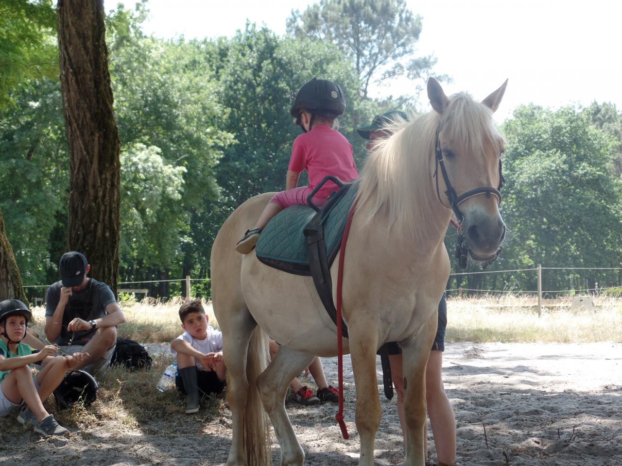 anouk2 (10)