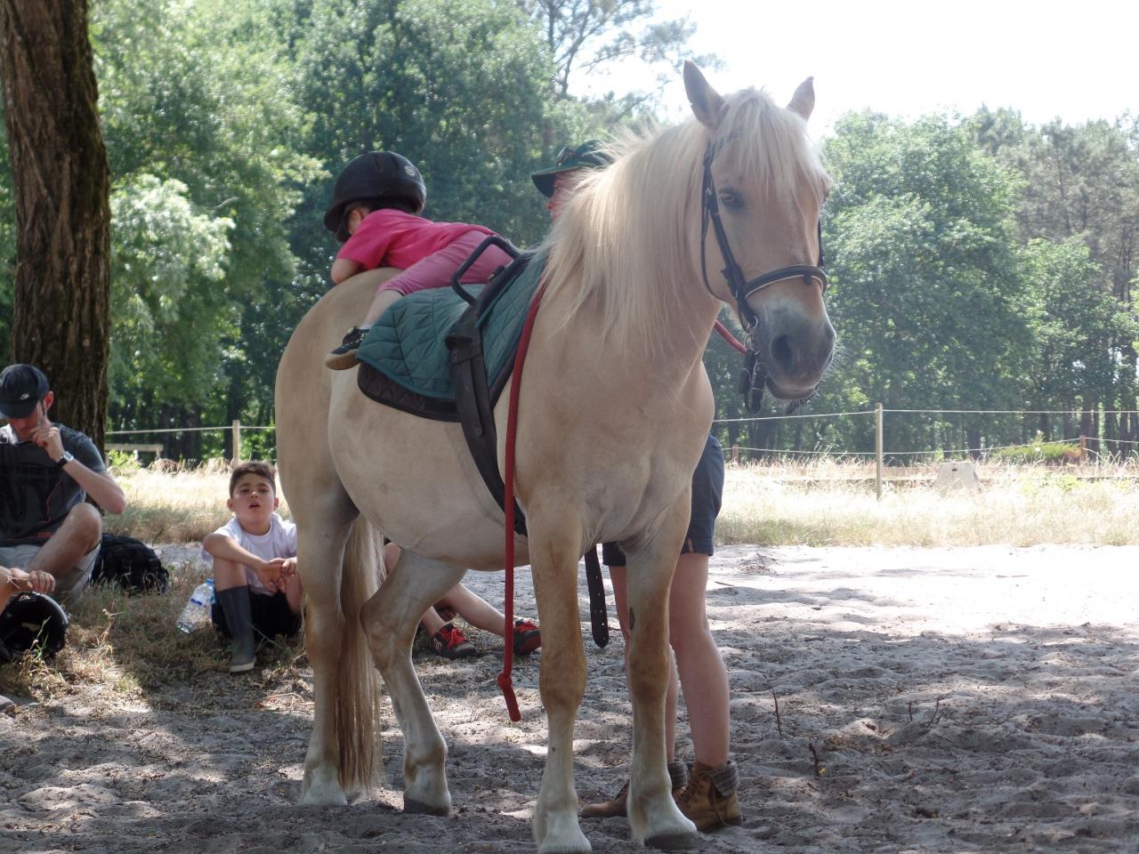 anouk2 (11)