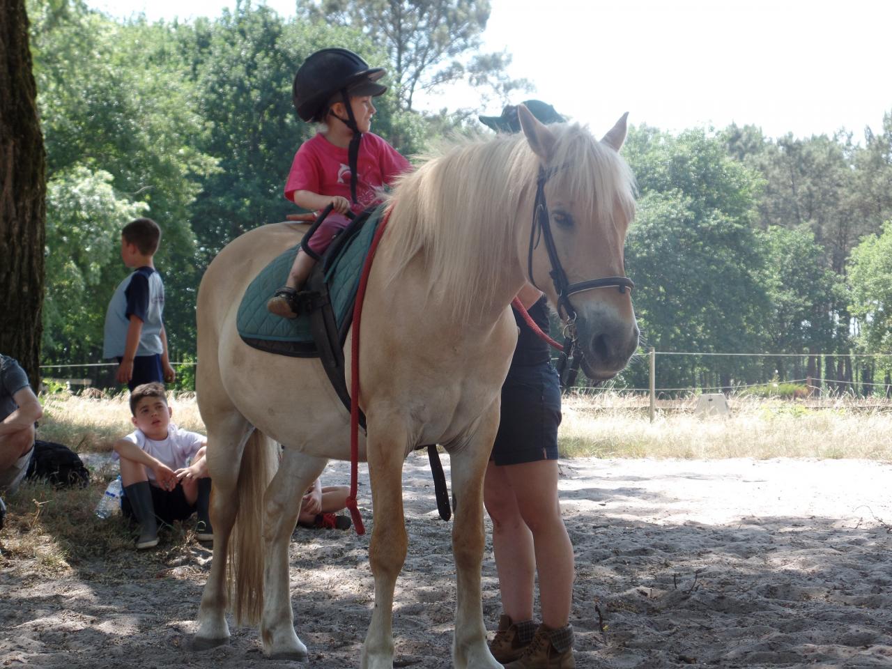 anouk2 (3)