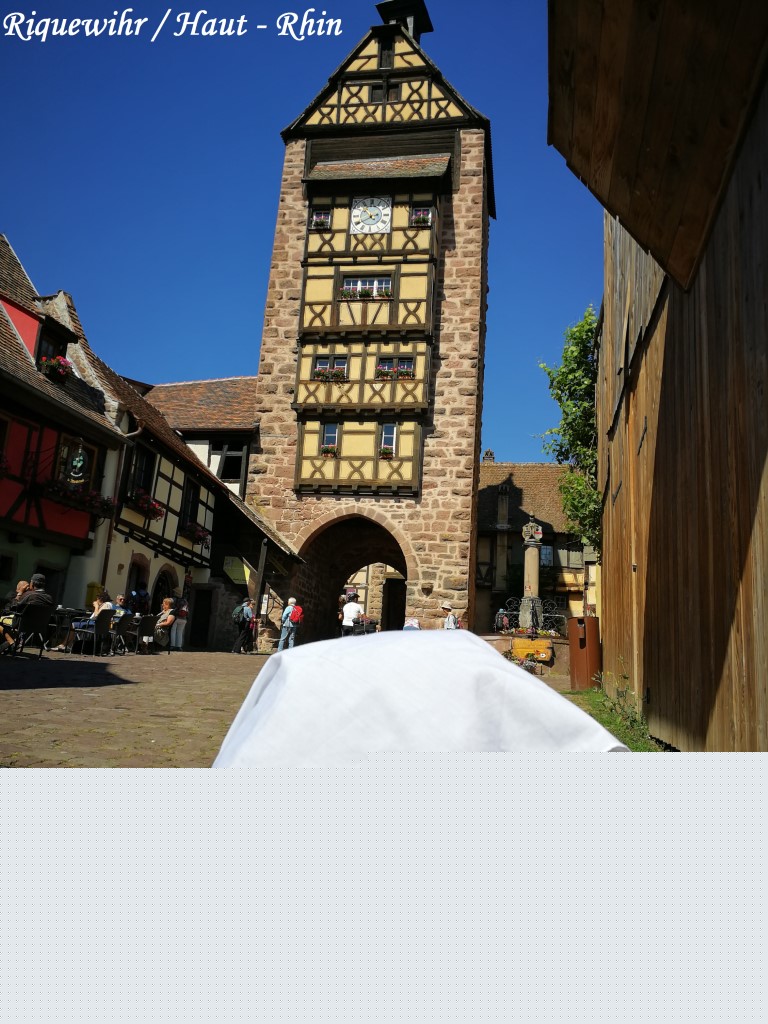 IMG_20190607_104034 (Moyen)