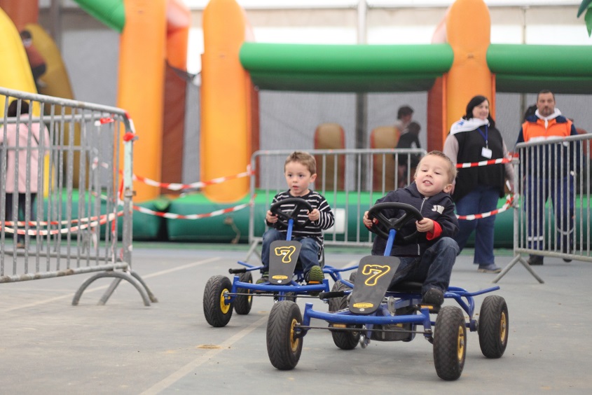 karts à pédales (9)