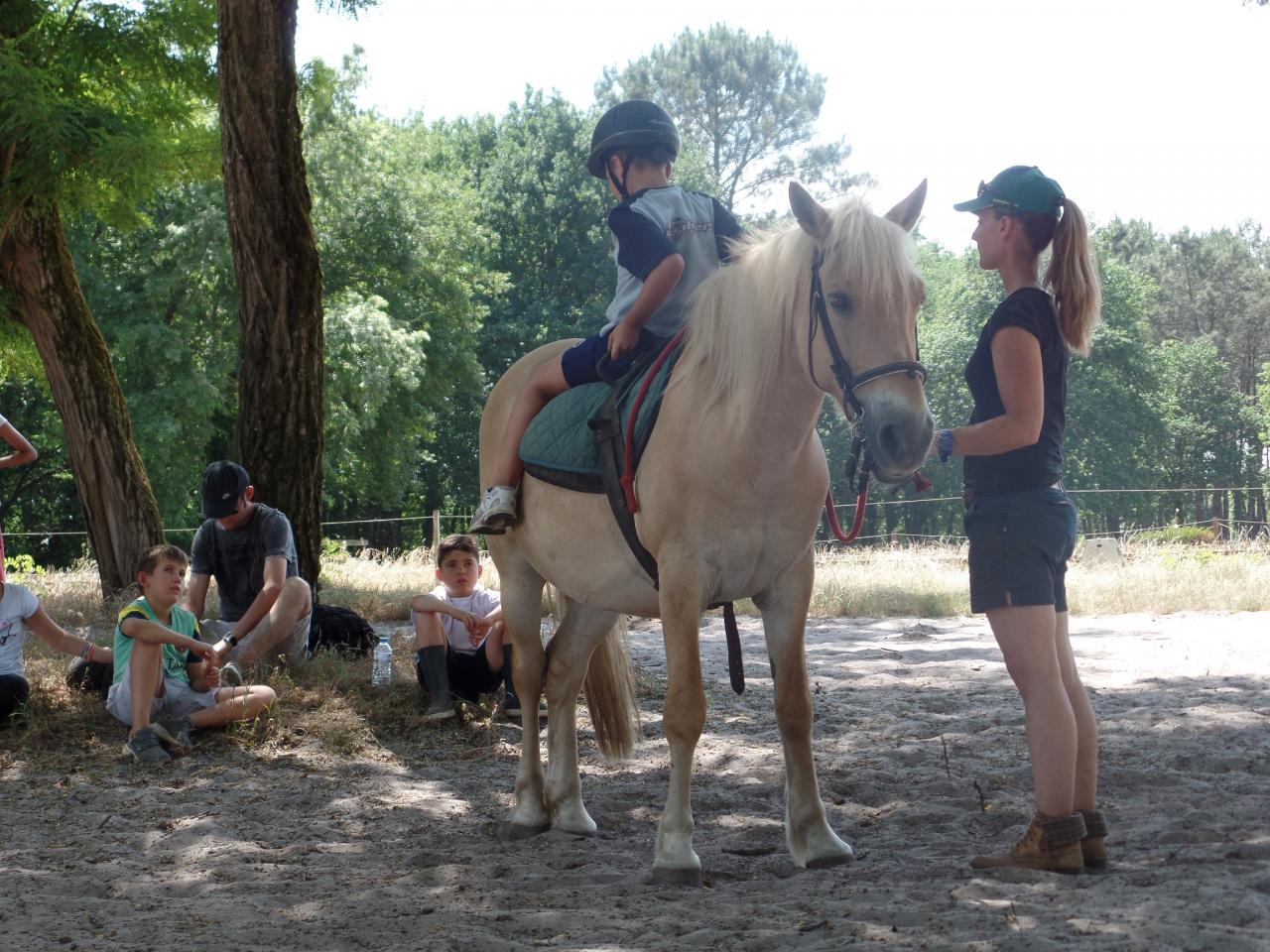maxence2 (1)