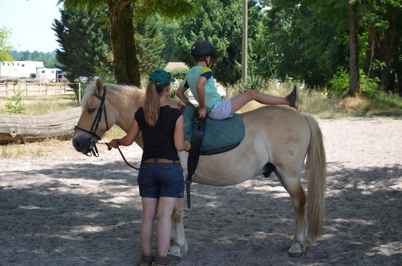maxime (1)