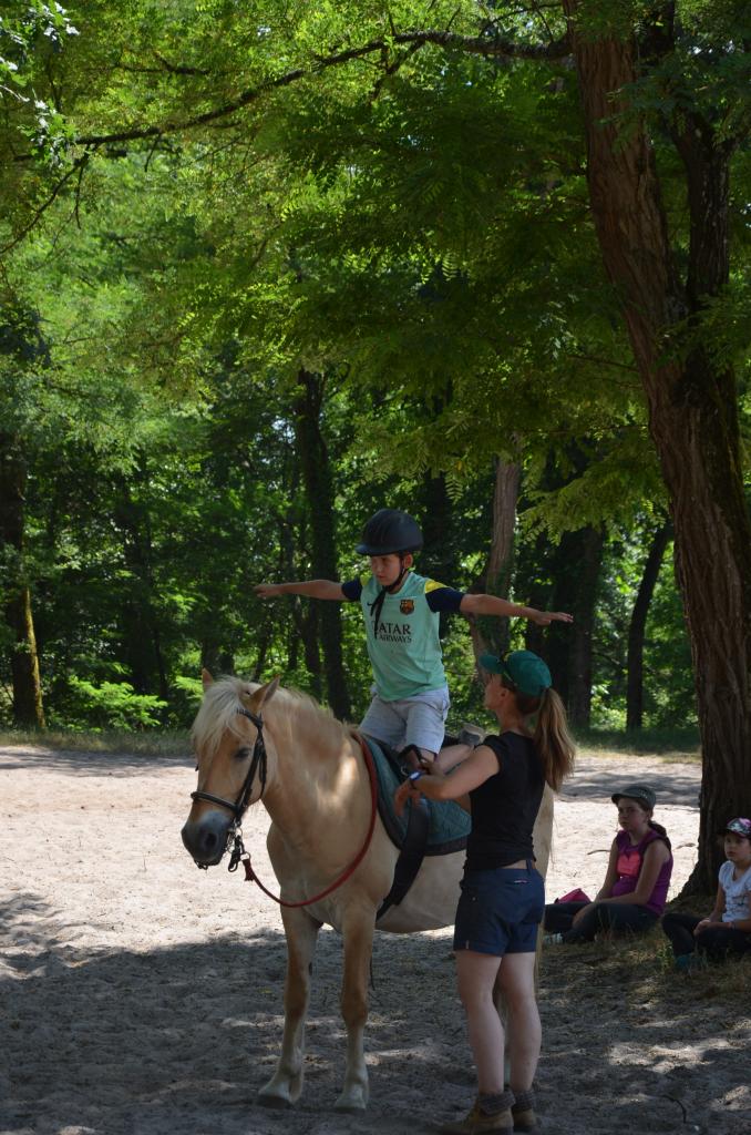 maxime (5)