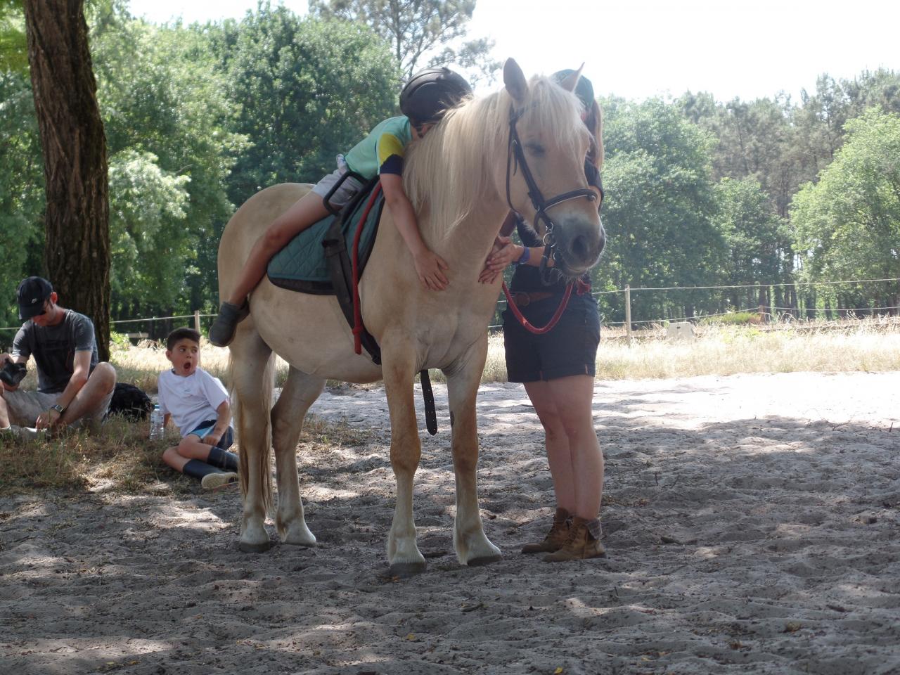 maxime2 (4)