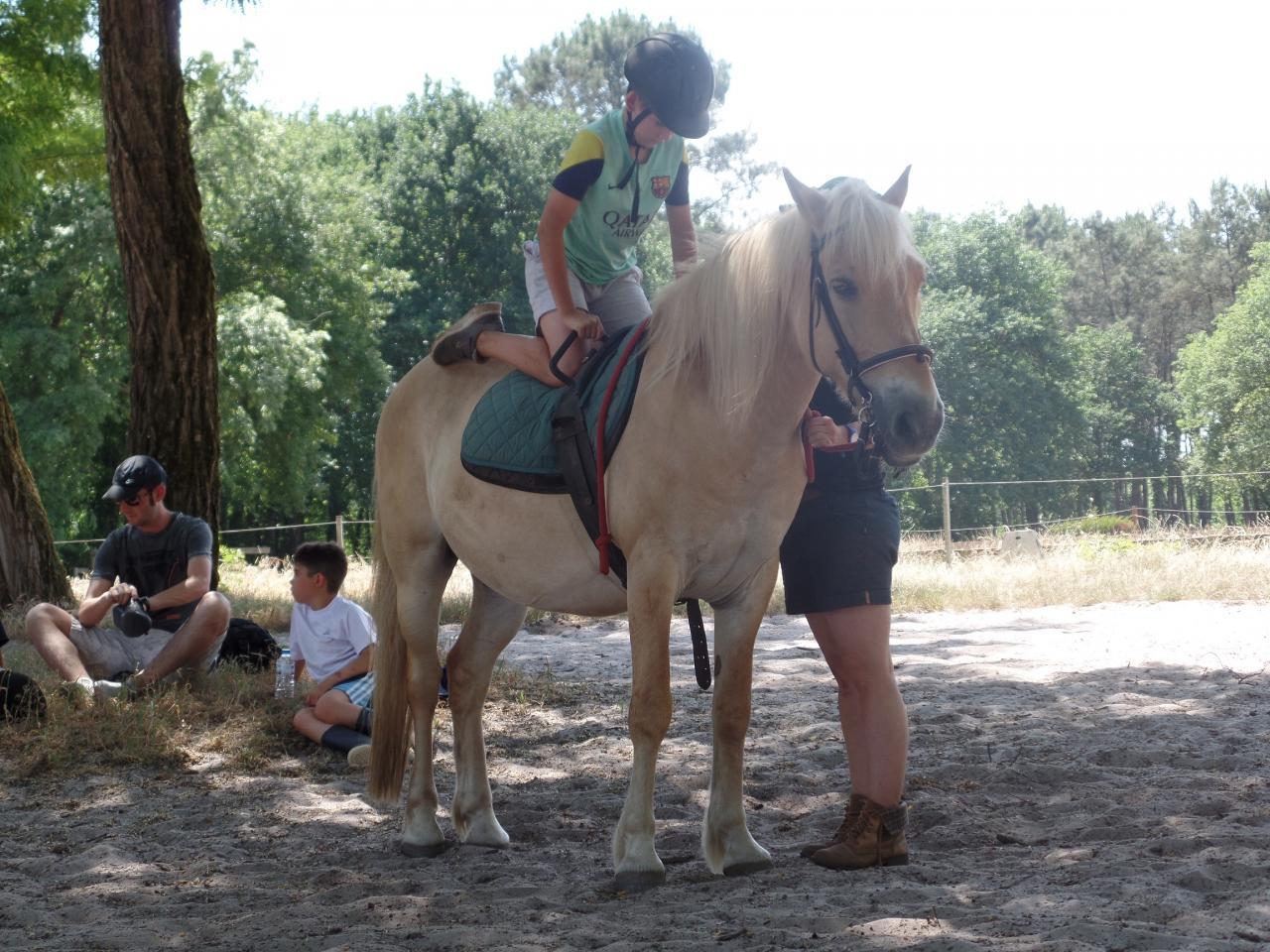 maxime2 (5)
