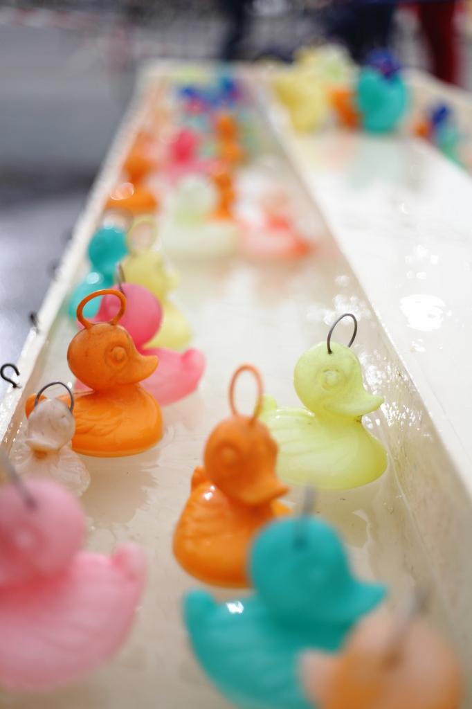 pêche aux canards (5)
