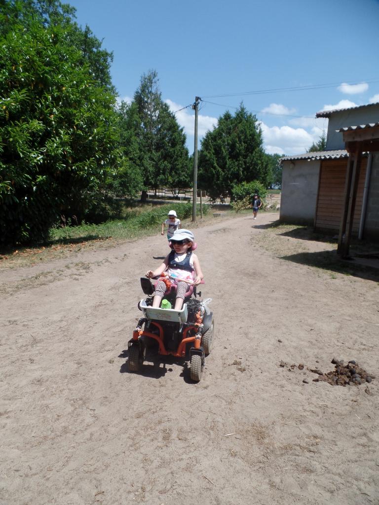 SAM_0356