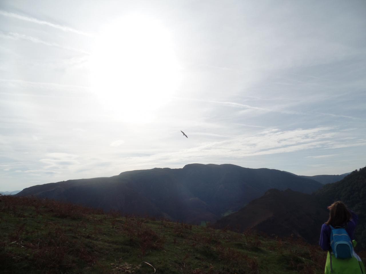 SAM_0950