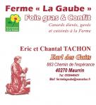 Logo lagaube tachon guits 2 3655354 1