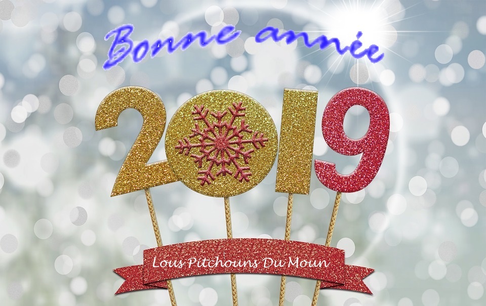 Voeux 2019
